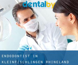 Endodontist in Kleinfischlingen (Rhineland-Palatinate)