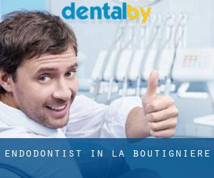 Endodontist in La Boutignière
