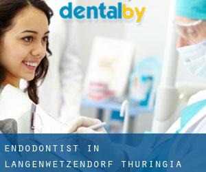 Endodontist in Langenwetzendorf (Thuringia)
