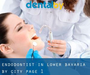 Endodontist in Lower Bavaria by city - page 1