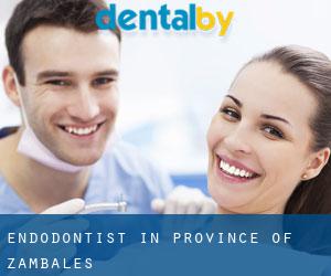 Endodontist in Province of Zambales
