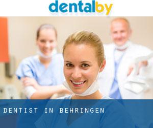 dentist in Behringen