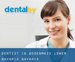 dentist in Bodenmais (Lower Bavaria, Bavaria)