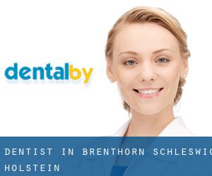 dentist in Brenthörn (Schleswig-Holstein) dentist in Brenthörn (Schleswig-Holstein)