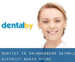 dentist in Dringenberg (Detmold District, North Rhine-Westphalia)