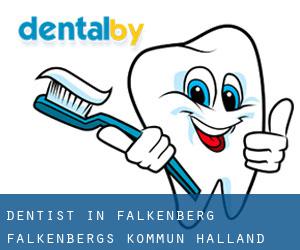 dentist in Falkenberg (Falkenbergs Kommun, Halland)