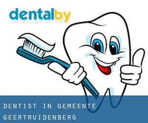 dentist in Gemeente Geertruidenberg