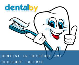 dentist in Hochdorf (Amt Hochdorf, Lucerne)