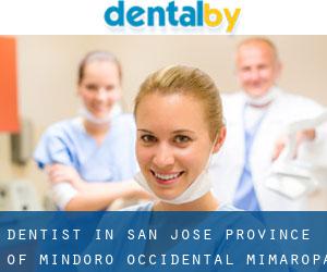 dentist in San Jose (Province of Mindoro Occidental, Mimaropa)