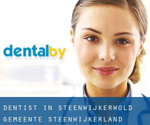 dentist in Steenwijkerwold (Gemeente Steenwijkerland, Overijssel)