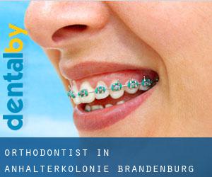 Orthodontist in Anhalterkolonie (Brandenburg)