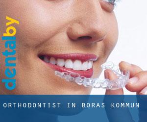 Orthodontist in Borås Kommun