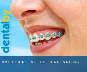 Orthodontist in Burg (Saxony)