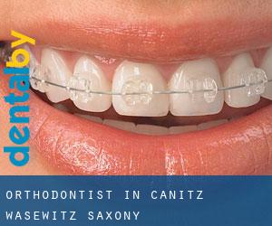 Orthodontist in Canitz-Wasewitz (Saxony)