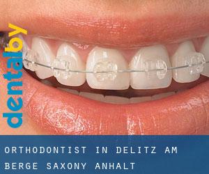 Orthodontist in Delitz am Berge (Saxony-Anhalt)