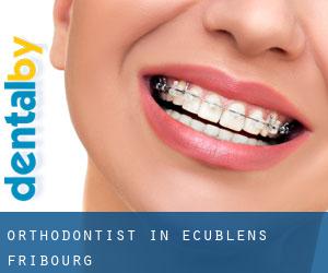 Orthodontist in Ecublens (Fribourg)