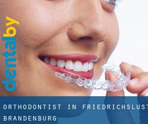 Orthodontist in Friedrichslust (Brandenburg)
