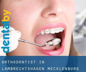Orthodontist in Lambrechtshagen (Mecklenburg-Western Pomerania)