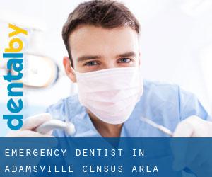 Emergency Dentist in Adamsville (census area)