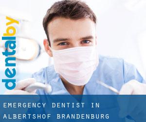 Emergency Dentist in Albertshof (Brandenburg)