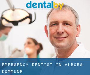 Emergency Dentist in Ålborg Kommune