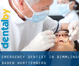 Emergency Dentist in Bimmlings (Baden-Württemberg)