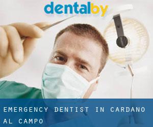 Emergency Dentist in Cardano al Campo