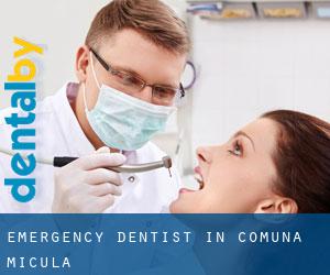 Emergency Dentist in Comuna Micula