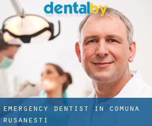 Emergency Dentist in Comuna Rusăneşti