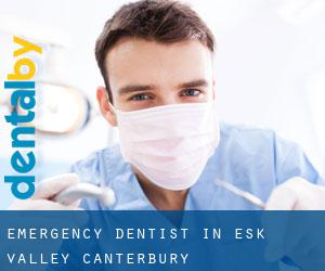 Emergency Dentist in Esk Valley (Canterbury)