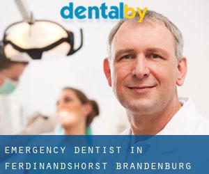 Emergency Dentist in Ferdinandshorst (Brandenburg)