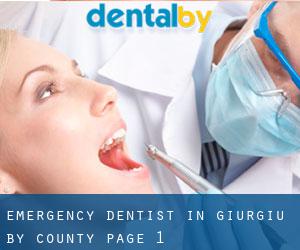 Emergency Dentist in Giurgiu by County - page 1