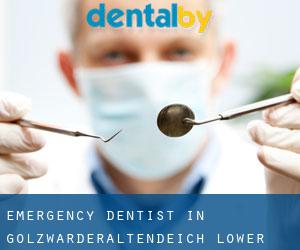 Emergency Dentist in Golzwarderaltendeich (Lower Saxony)