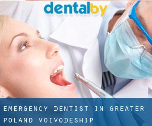 Emergency Dentist in Greater Poland Voivodeship