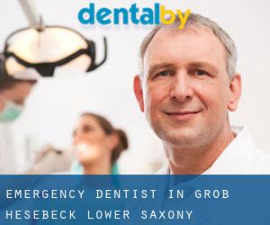 Emergency Dentist in Groß Hesebeck (Lower Saxony)