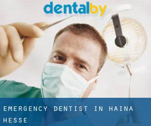 Emergency Dentist in Haina (Hesse)