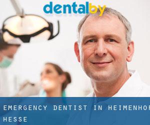 Emergency Dentist in Heimenhof (Hesse)