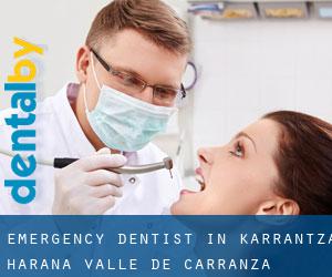Emergency Dentist in Karrantza Harana / Valle de Carranza