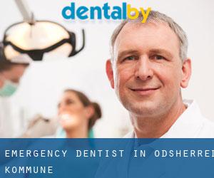 Emergency Dentist in Odsherred Kommune
