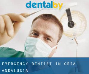 Emergency Dentist in Oria (Andalusia)