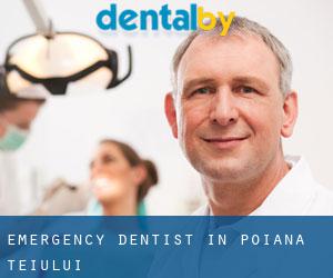 Emergency Dentist in Poiana Teiului