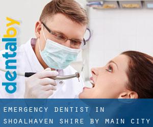 Emergency Dentist in Shoalhaven Shire by main city - page 1