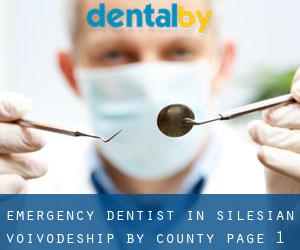 Emergency Dentist in Silesian Voivodeship by County - page 1