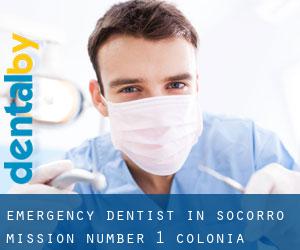 Emergency Dentist in Socorro Mission Number 1 Colonia