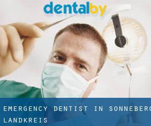 Emergency Dentist in Sonneberg Landkreis