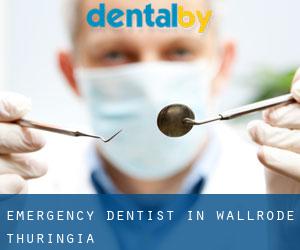 Emergency Dentist in Wallrode (Thuringia)