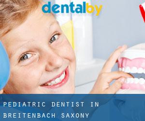 Pediatric Dentist in Breitenbach (Saxony)