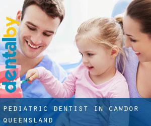 Pediatric Dentist in Cawdor (Queensland)