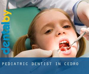 Pediatric Dentist in Cedro