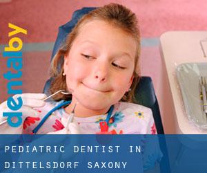 Pediatric Dentist in Dittelsdorf (Saxony)